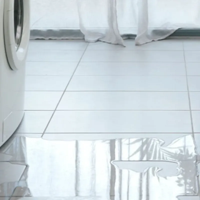 Appliance Leak Cleanup in Wabasha County, MN