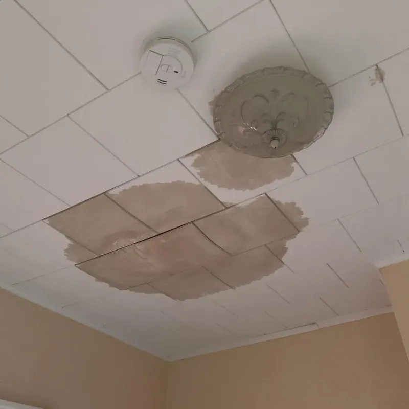 Ceiling Water Damage Repair in Wabasha County, MN
