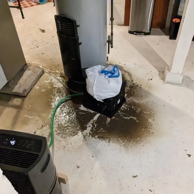 Sewage Backup Cleanup Service in Wabasha County, MN